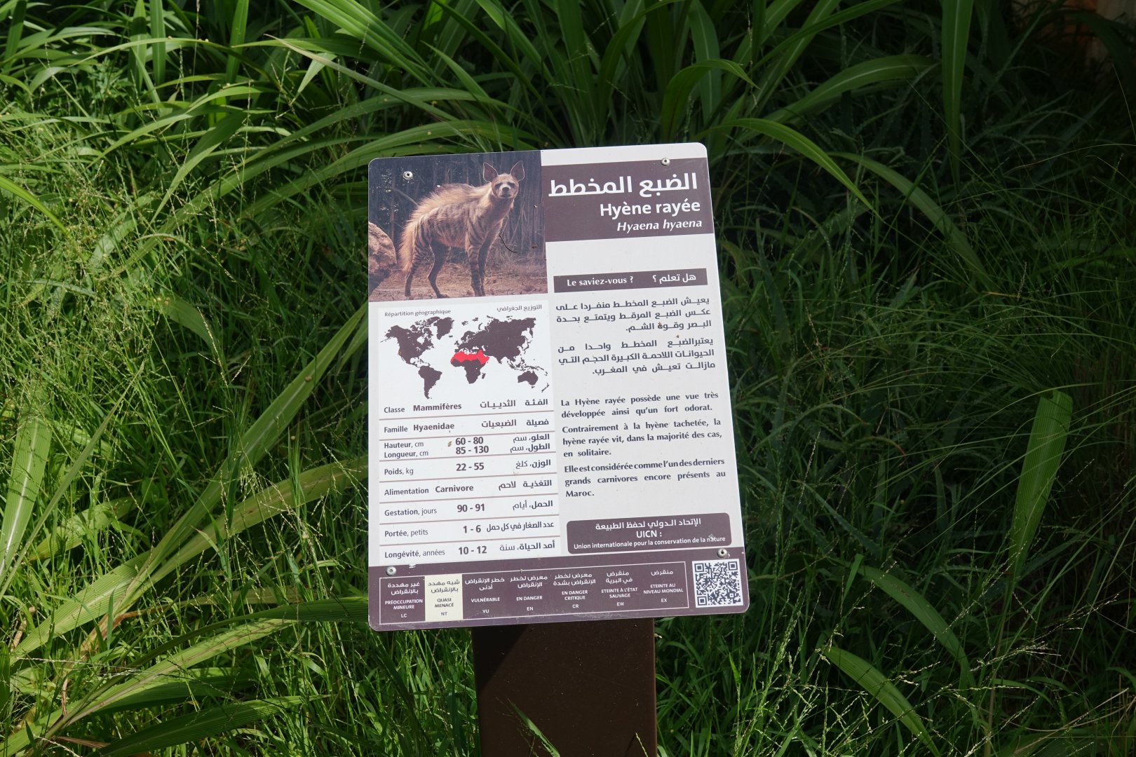 Signage Example