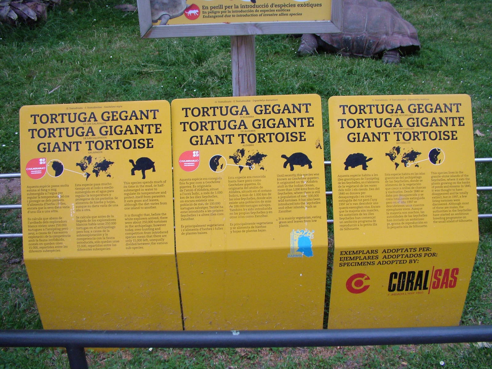 Signage Examples at Barcelona, 30/05/11