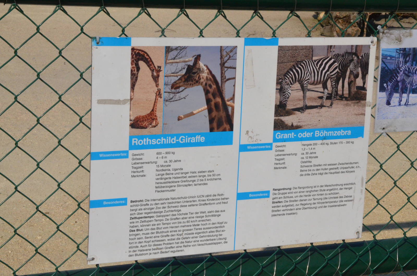 Signage Examples at Knie Kinderzoo, 11/09/16