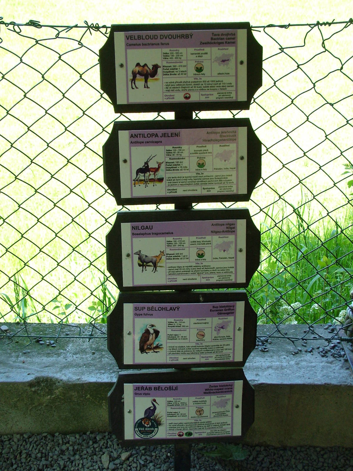 Signage examples at Zlin, 28/05/10