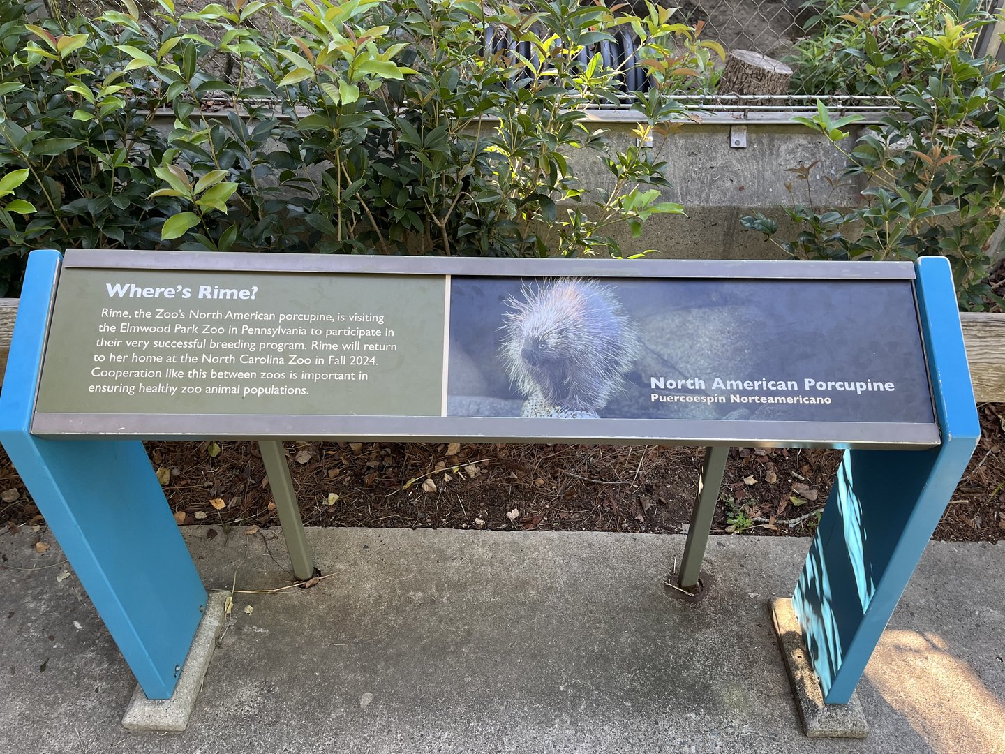 Signage explaining Rime’s absence