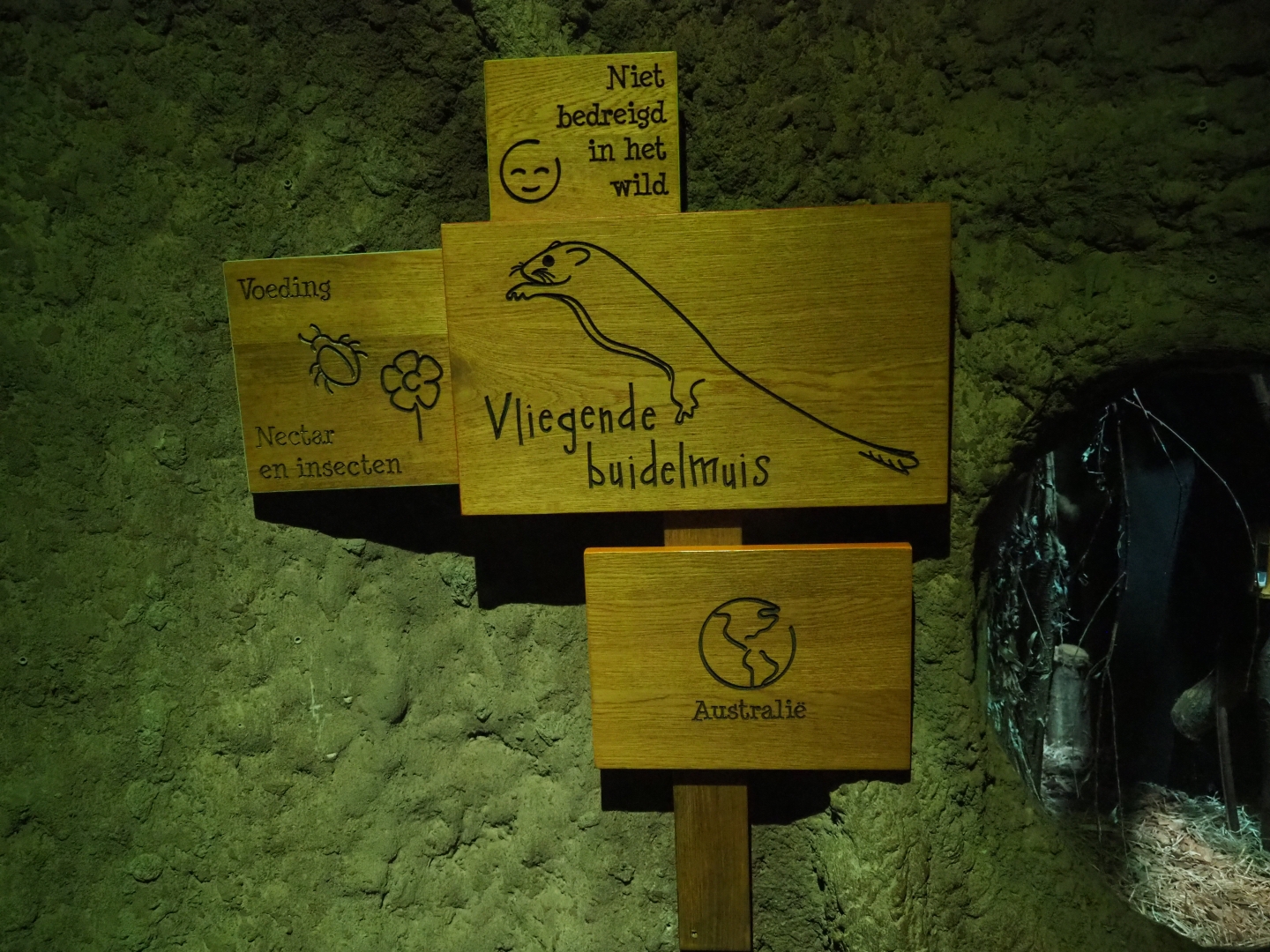 Signage feathertail glider (Acrobates pygmaeus)