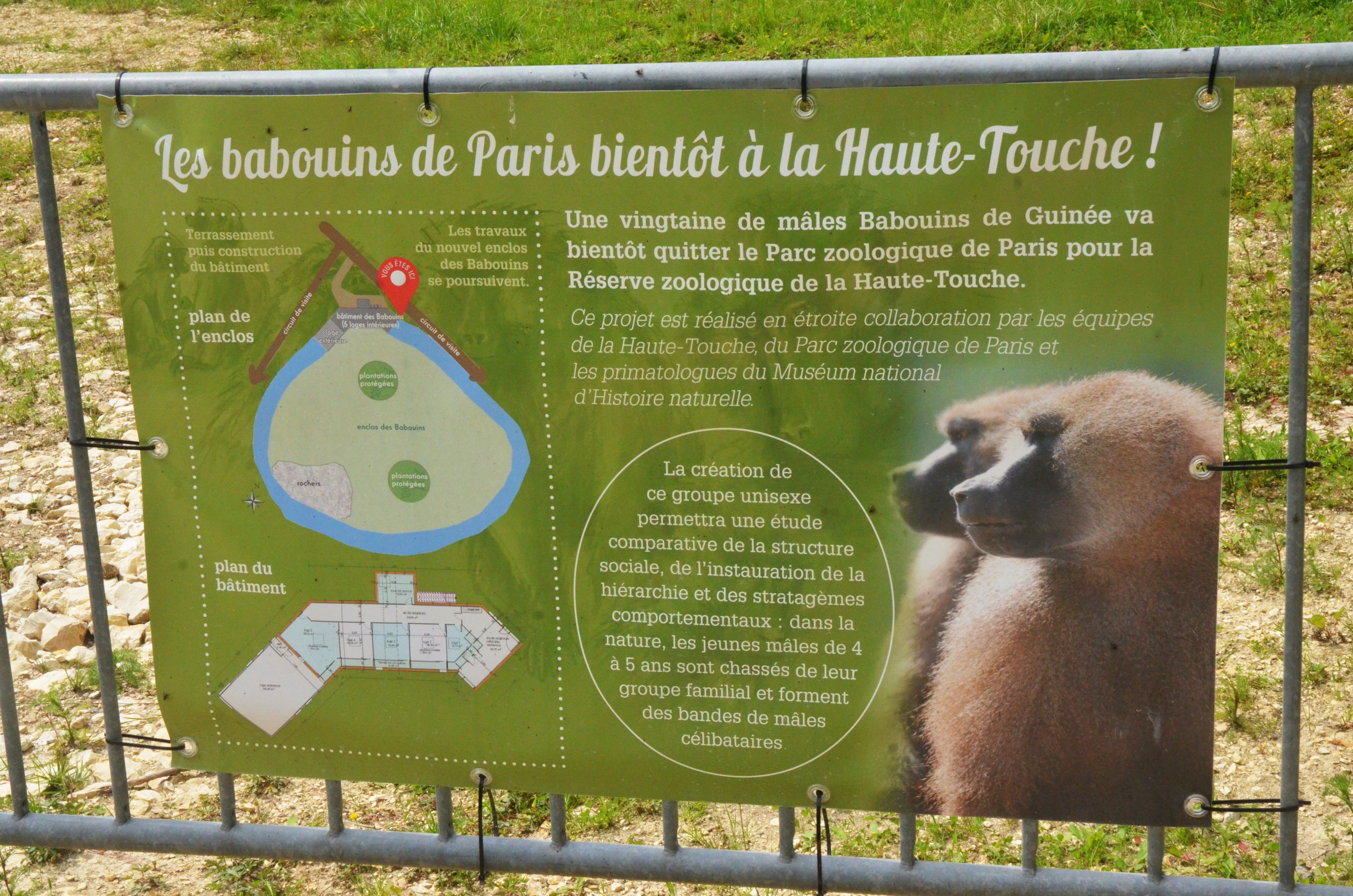 Signage for Additional Baboon Enclosure at Haute-Touche, 14/06/18