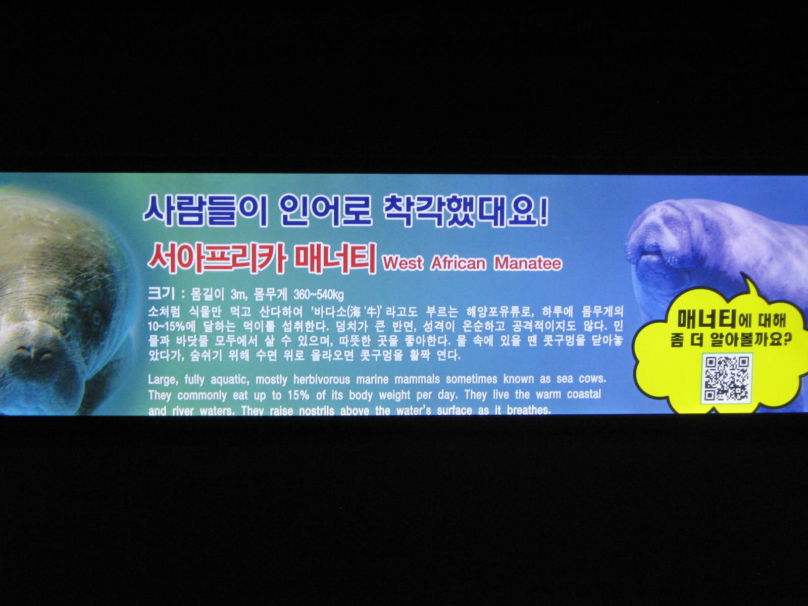 signage for African manatee (Trichechus senegalensis)