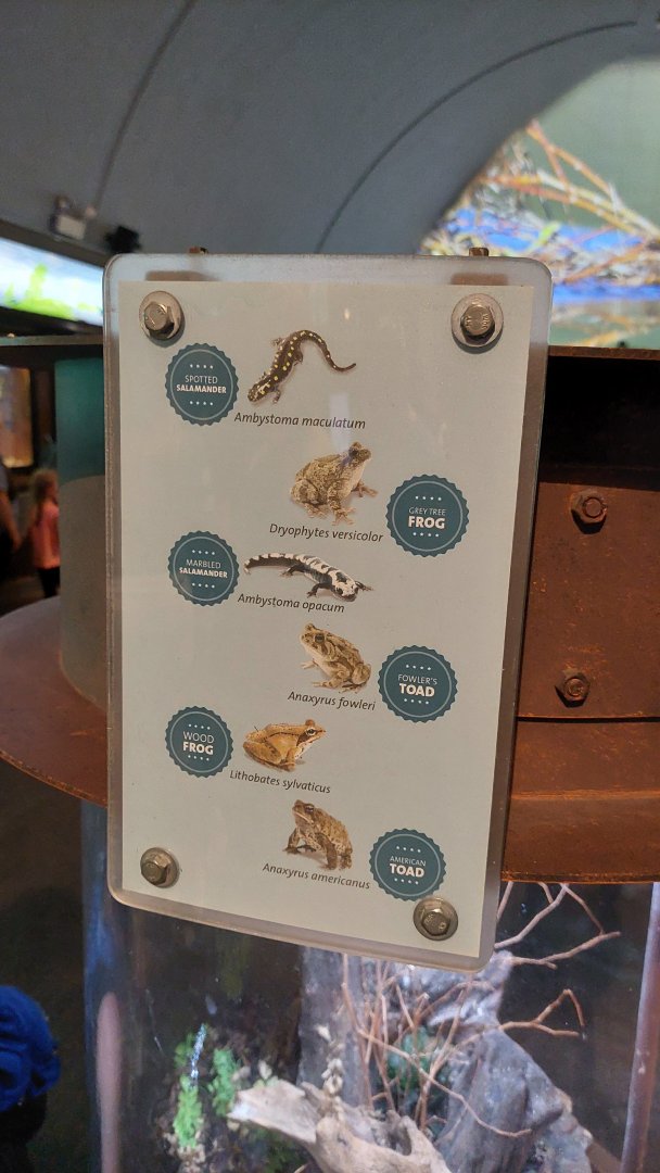 Signage for Amphibian terrarium 2