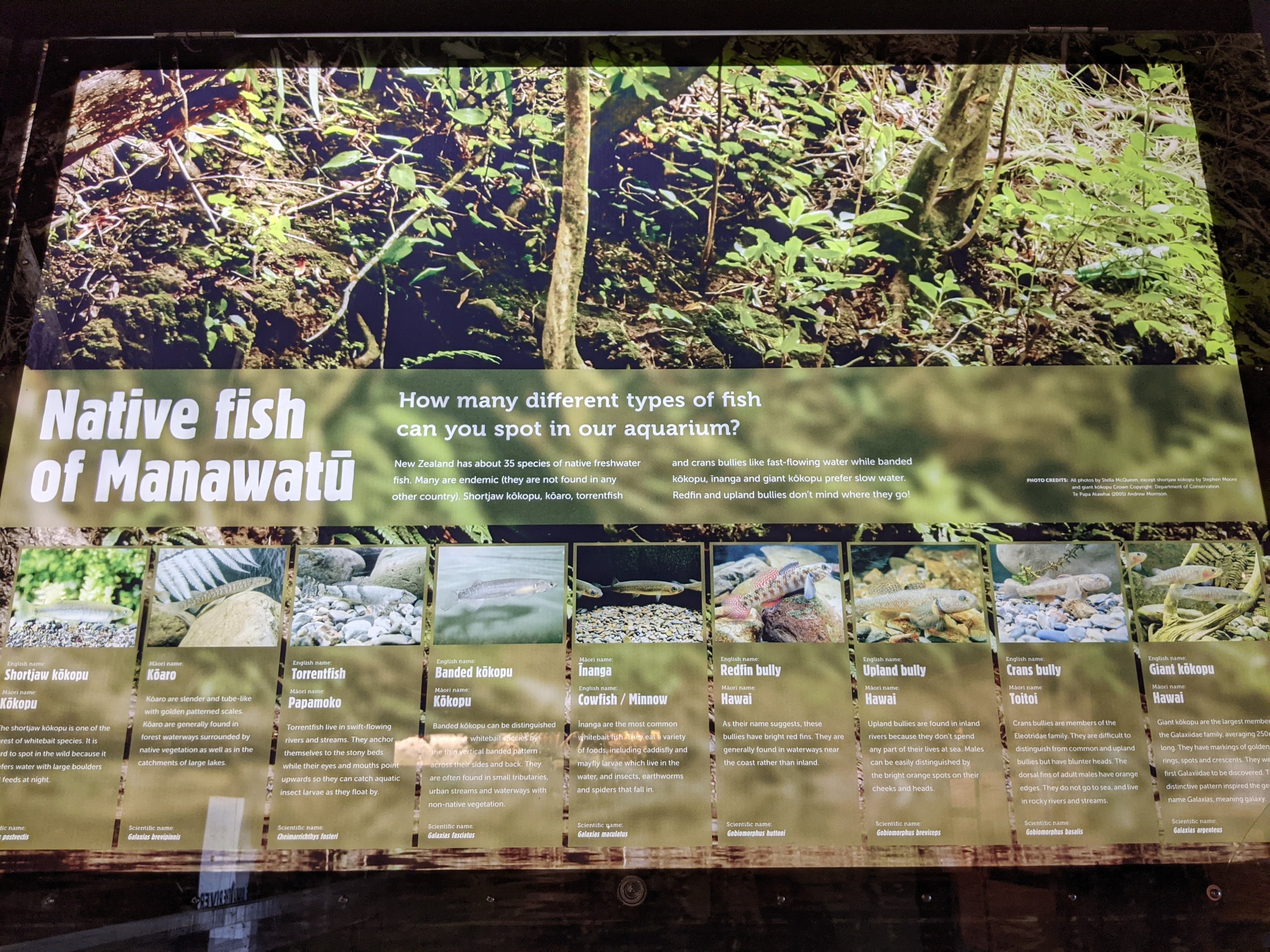 Signage for aquarium