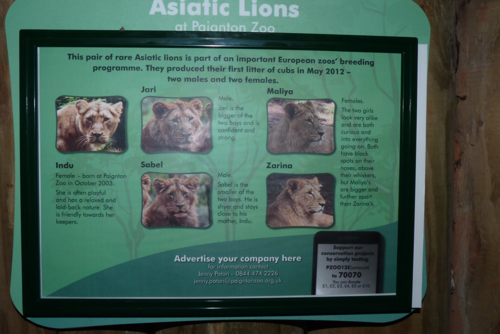 Signage for Asiatic lions, 2013