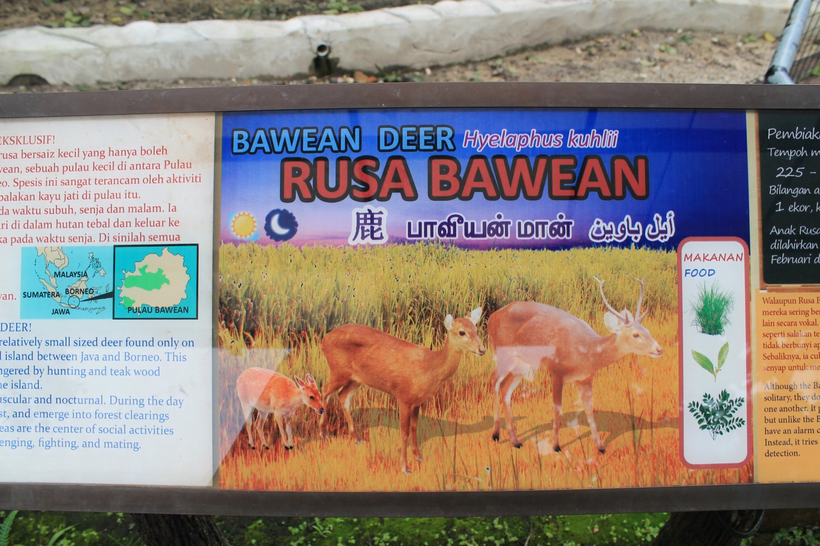 signage for Bawean Hog Deer (Hyelaphus kuhlii)