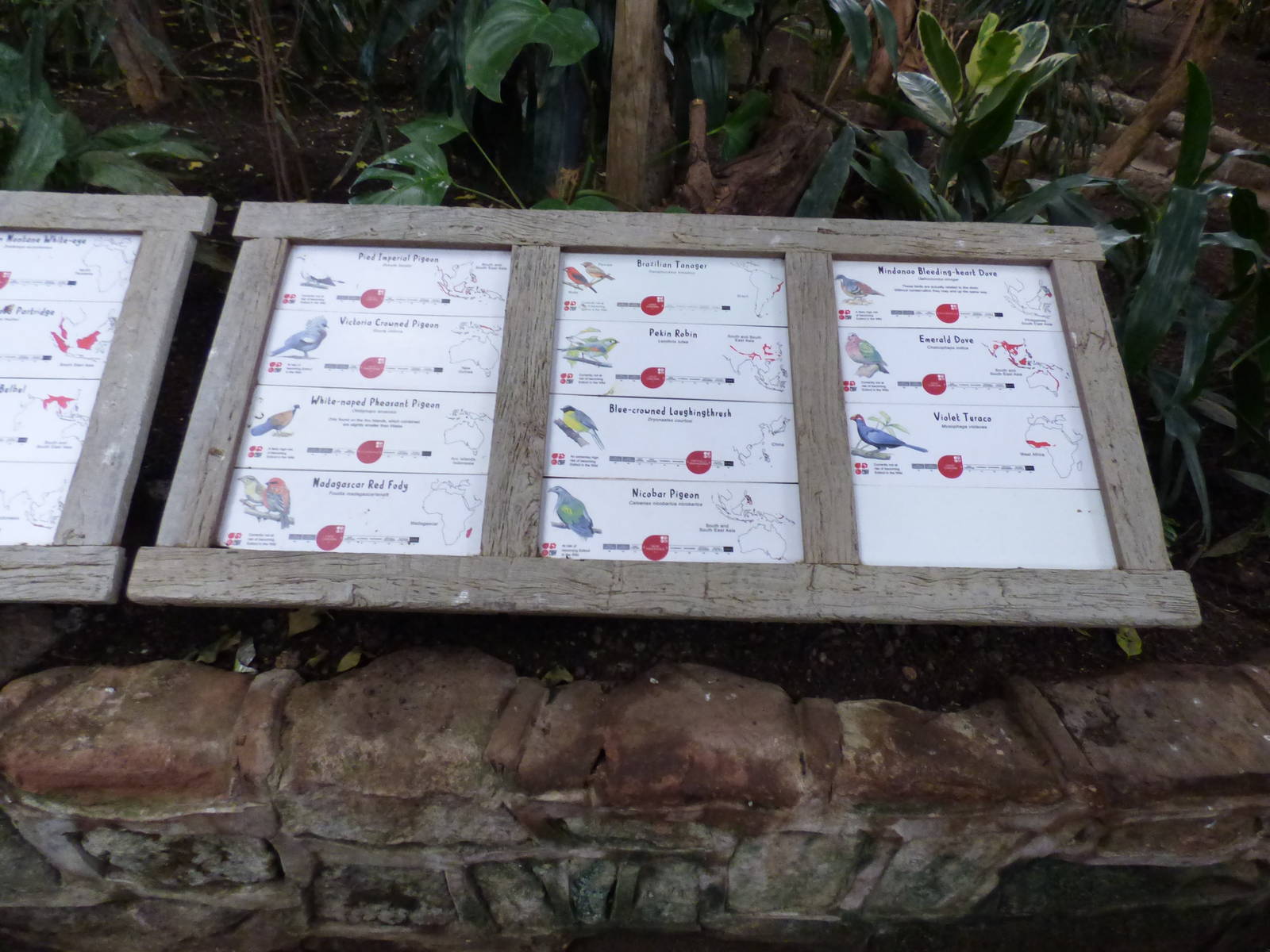 Signage for birds in Tropical Realm