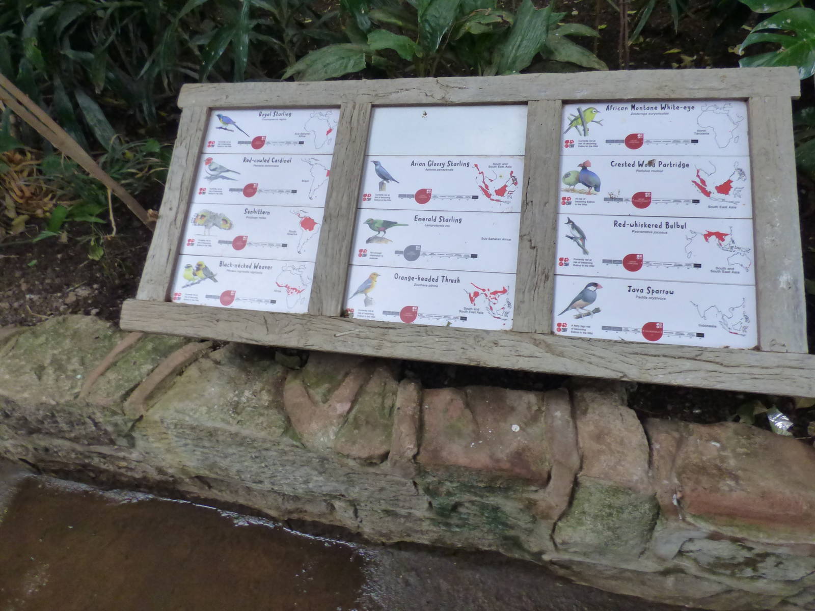 Signage for birds in Tropical Realm