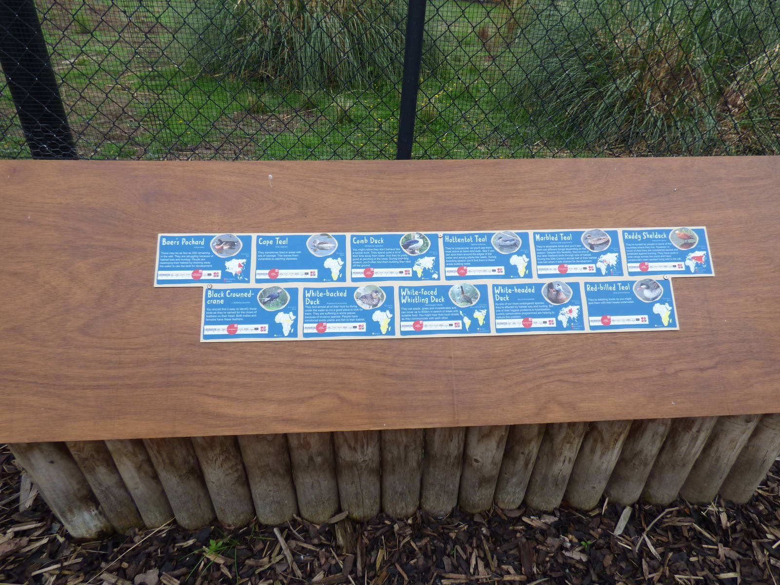 Signage for birds in Wetland Aviary