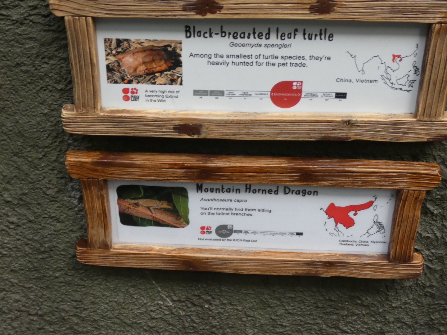 Signage for Black-breasted Turtle and Mountain Horned Dragon in RORA