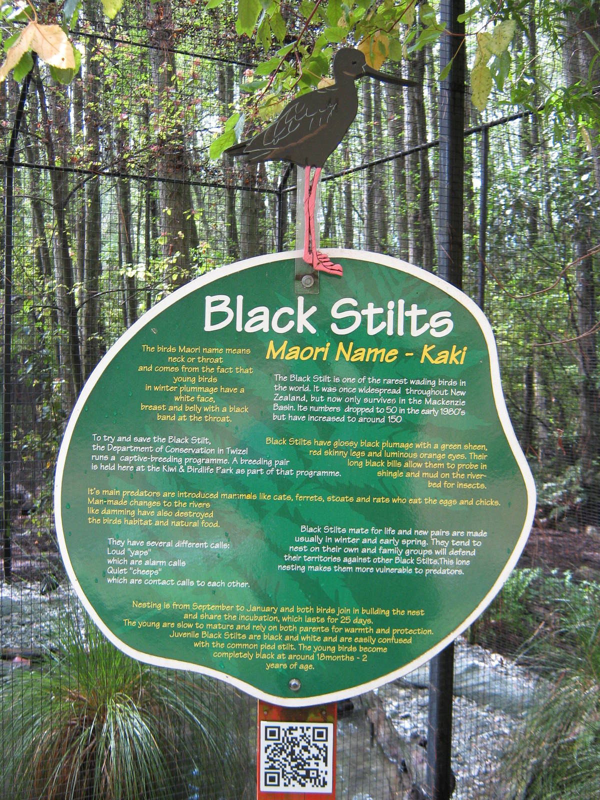 signage for black stilts (Himantopus novaezelandiae)