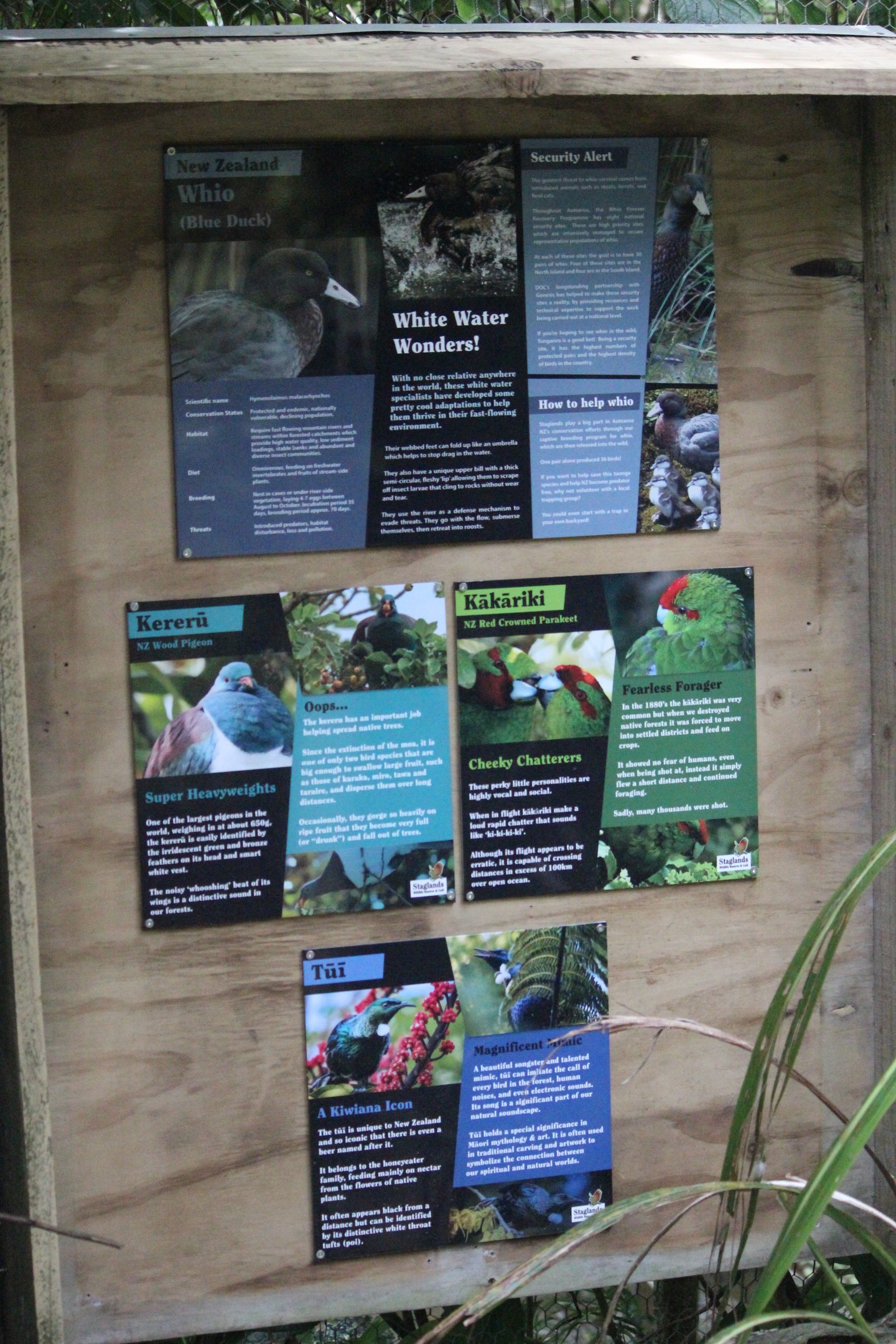 Signage for Blue Duck Aviary