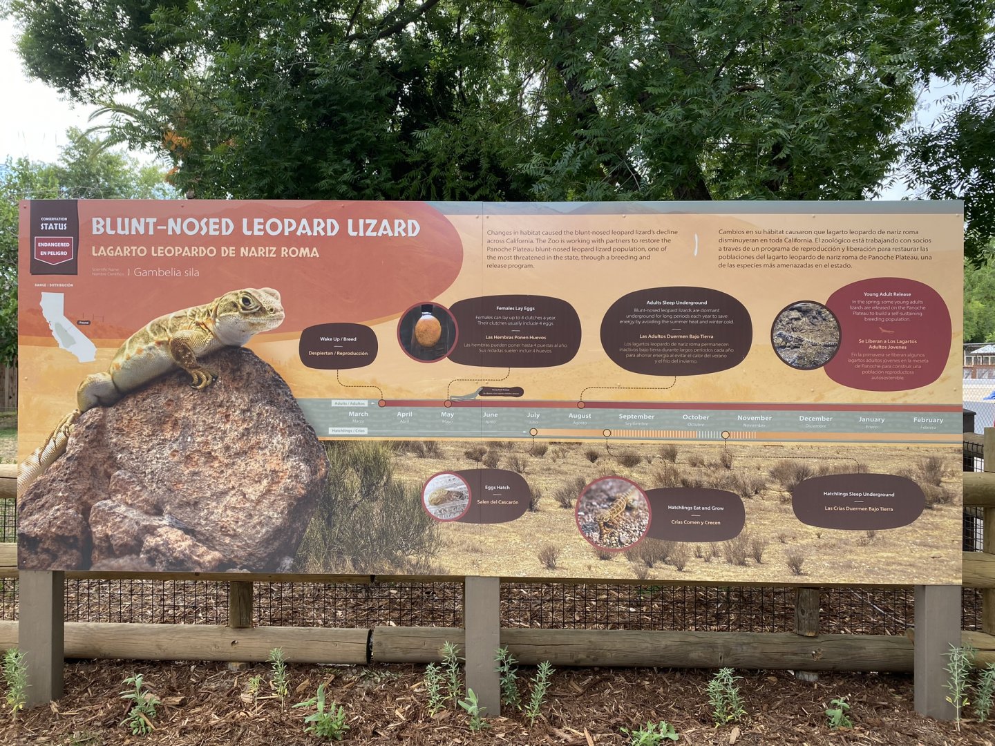 Signage for Blunt-nosed Leopard Lizard