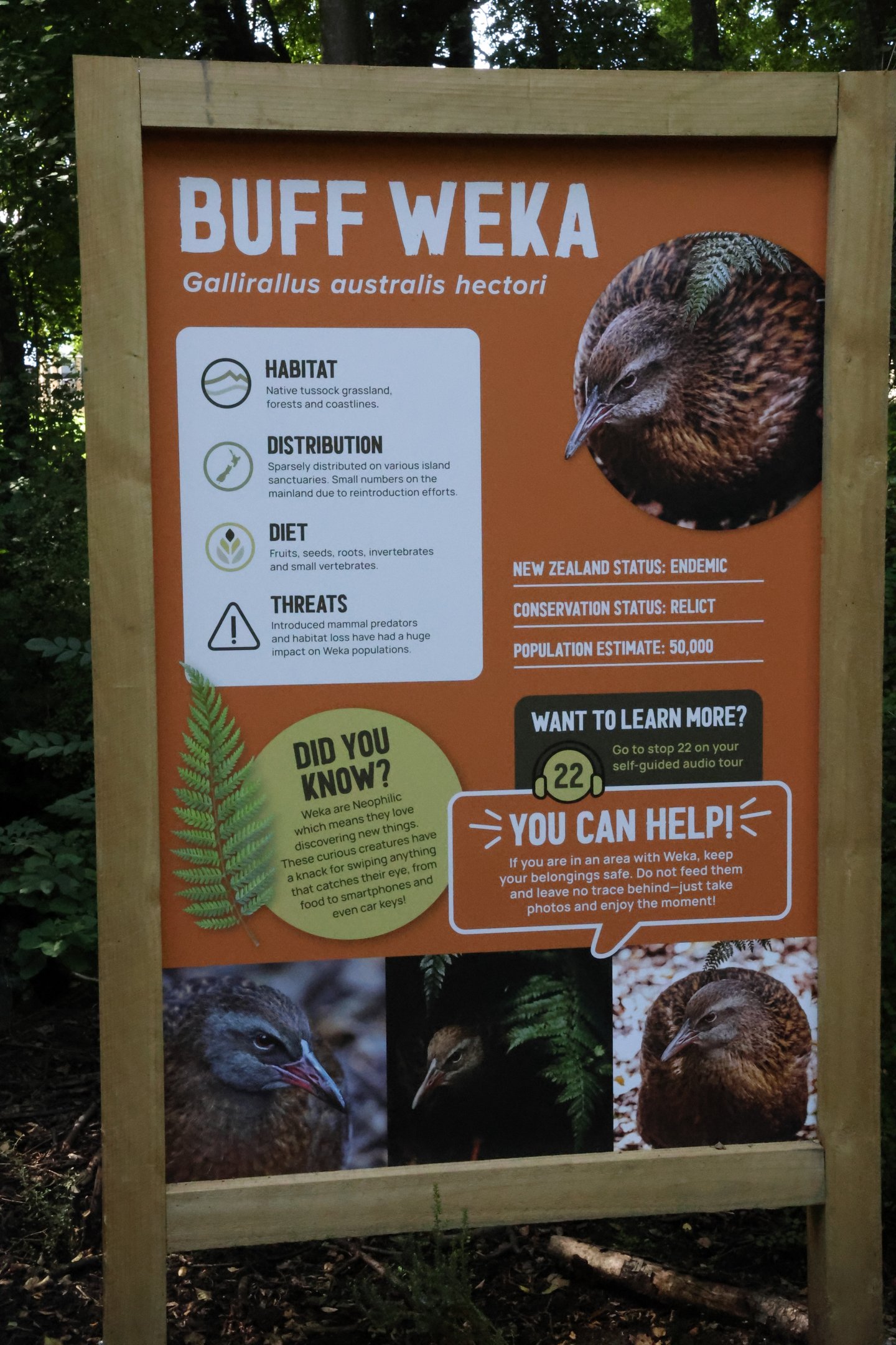 Signage for Buff Weka