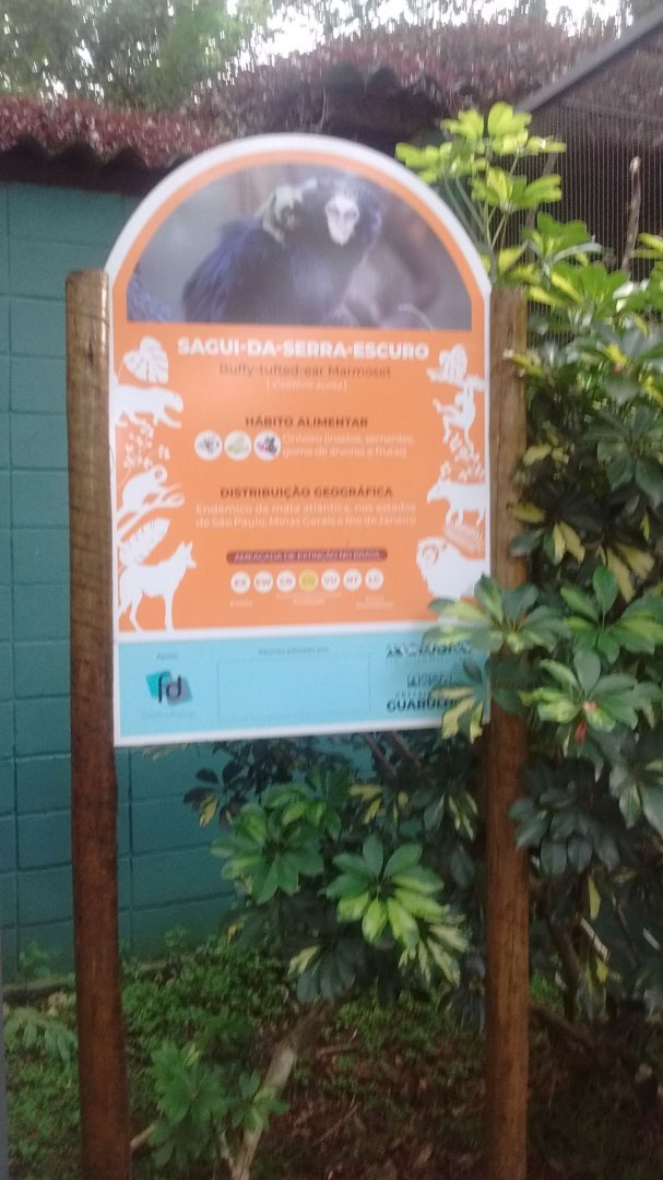 Signage for Buffy tufted marmoset