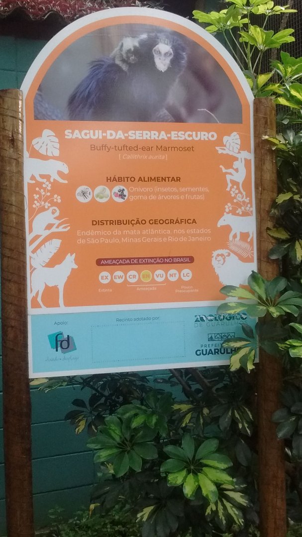 Signage for Buffy tufted Marmoset