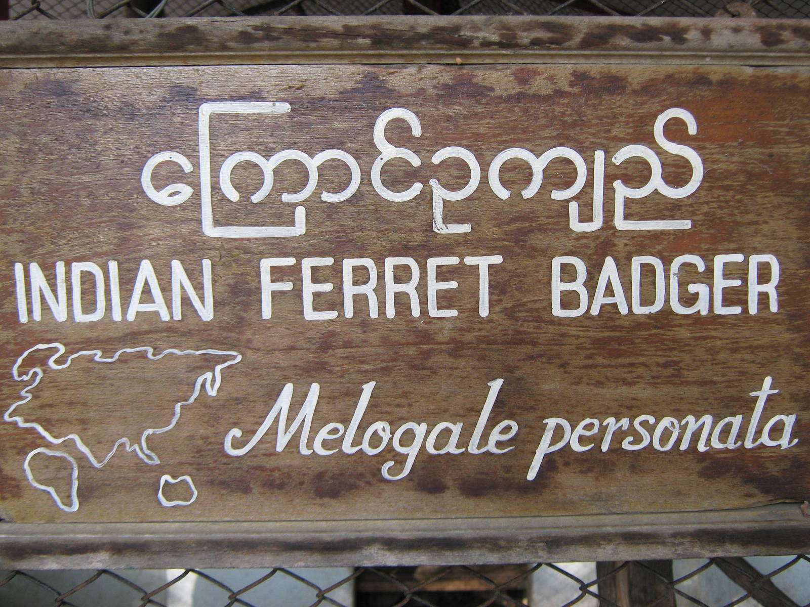 signage for Burmese Ferret Badger