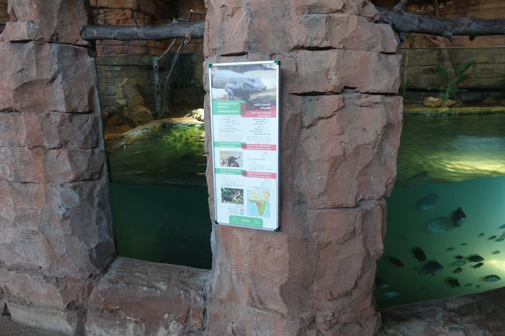 Signage for Crocodile and Turtle Enclosure
