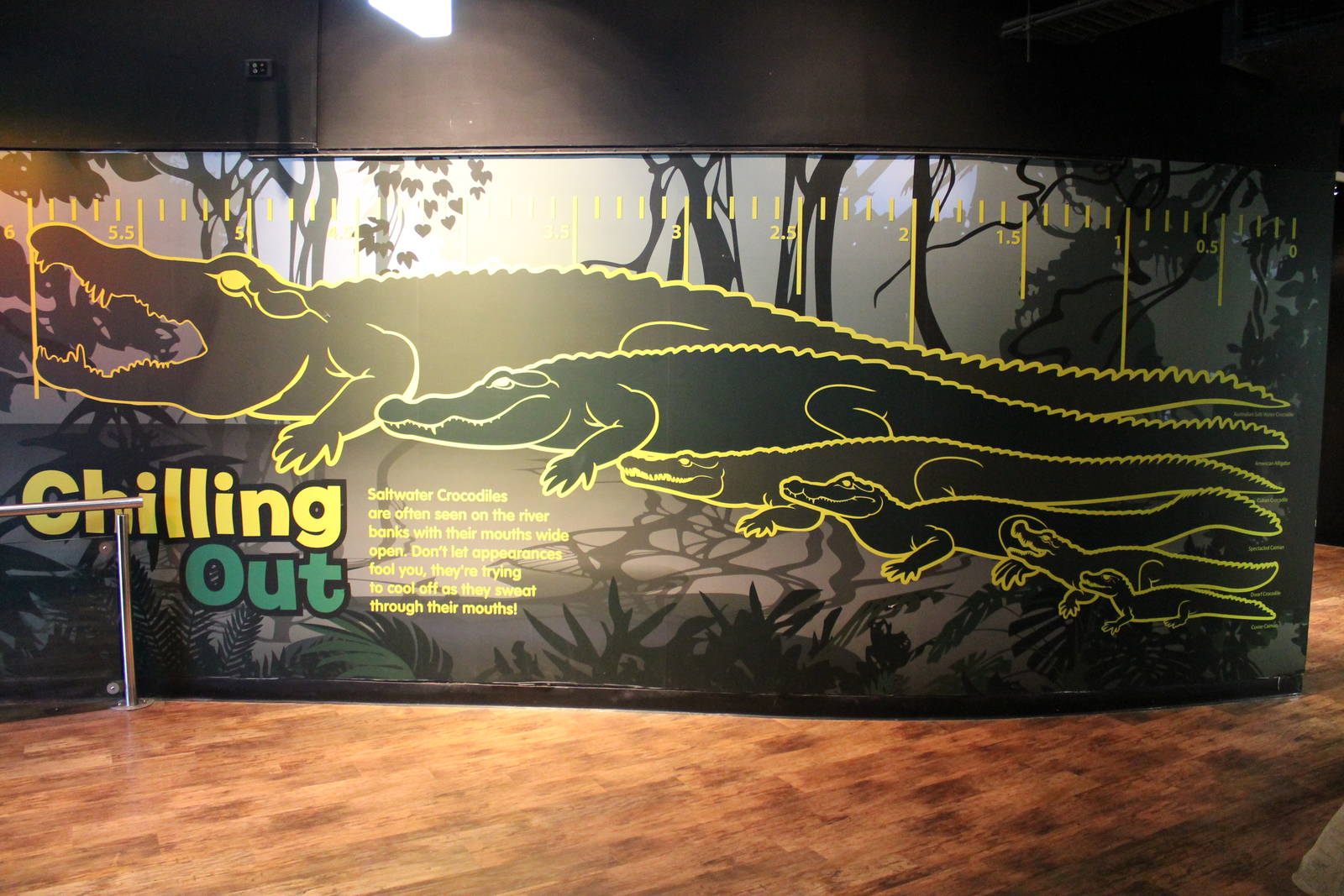 signage for crocodile display
