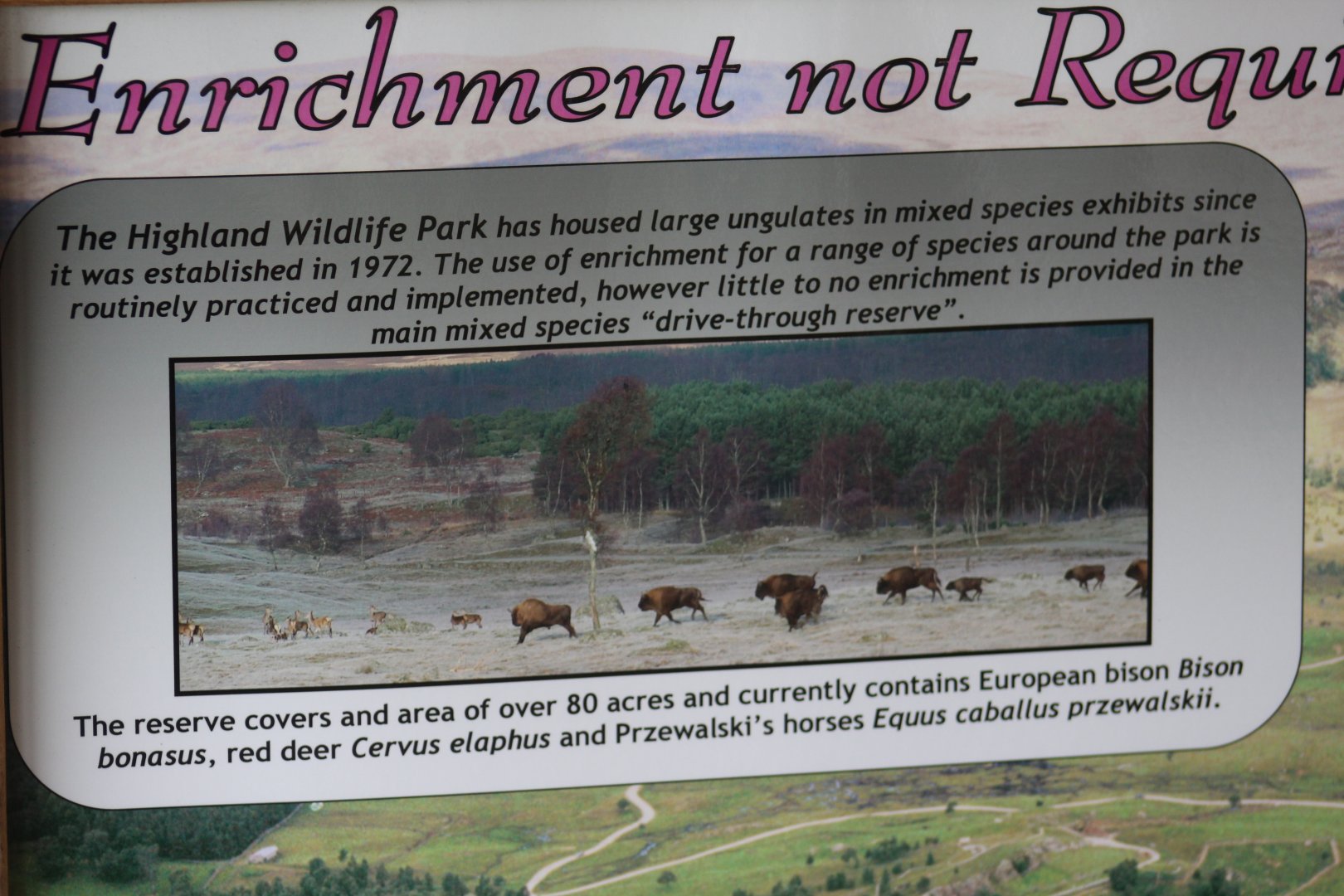 Signage for Drive-Through Exhibit