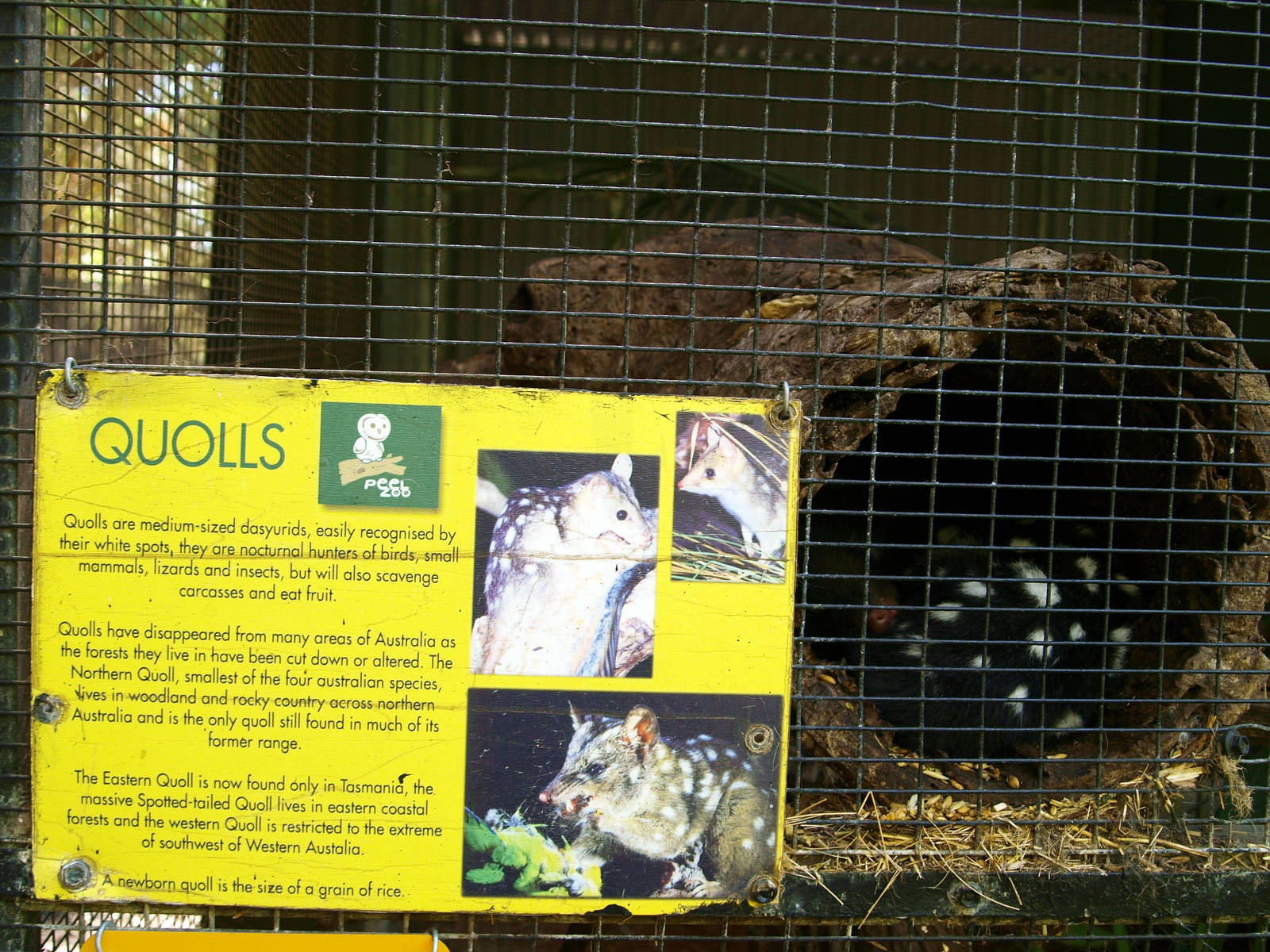 Signage for Eastern quolls