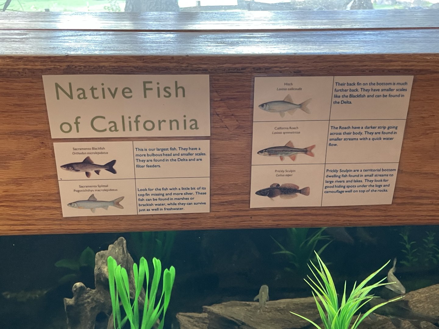 signage for fish