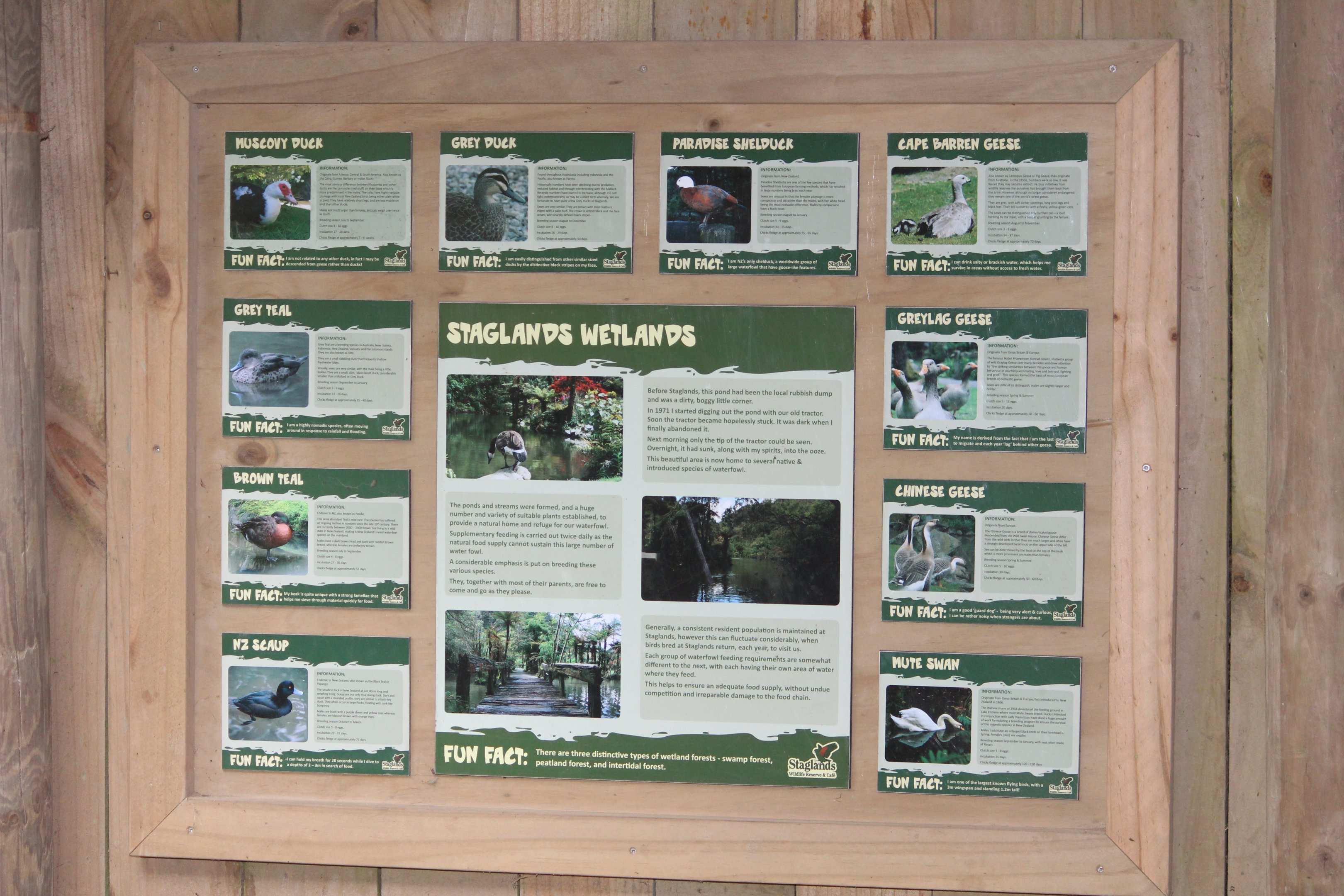 Signage for Forest Wetlands