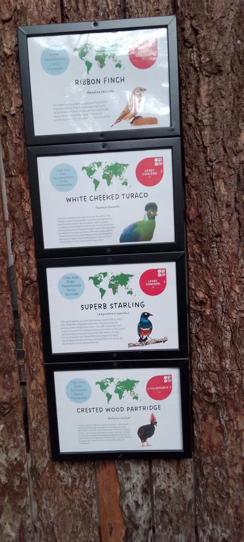 Signage for free flyers 200225