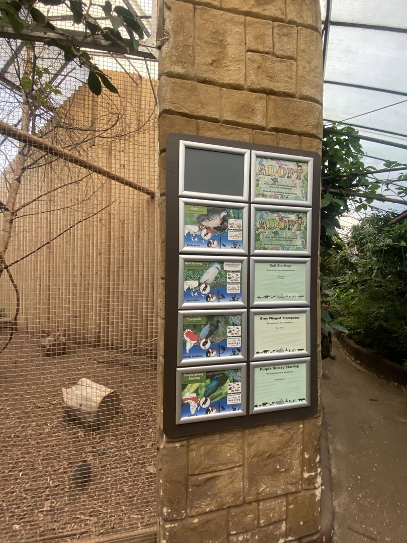 Signage for free flying birds in indoor area 140923