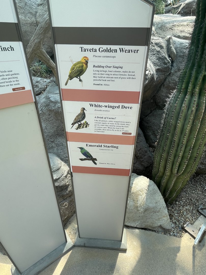 Signage For Free Flying Birds