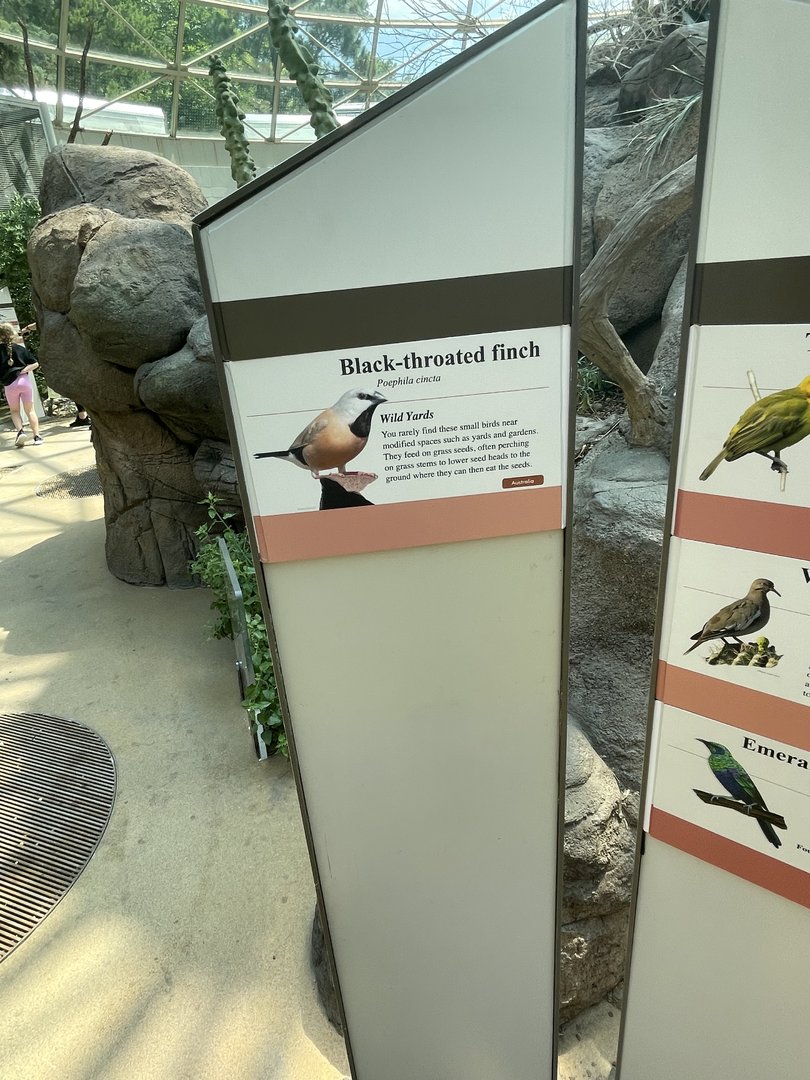Signage For Free Flying Birds