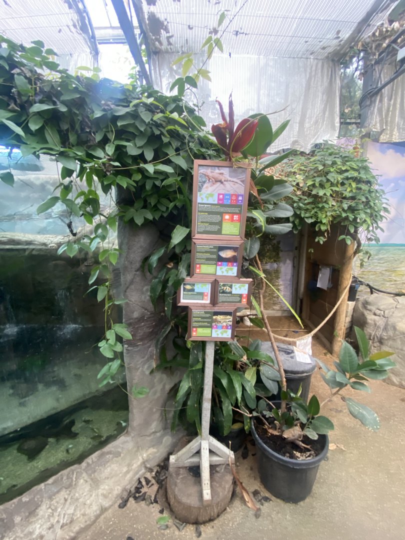 Signage for Green iguana/fish exhibit 050924