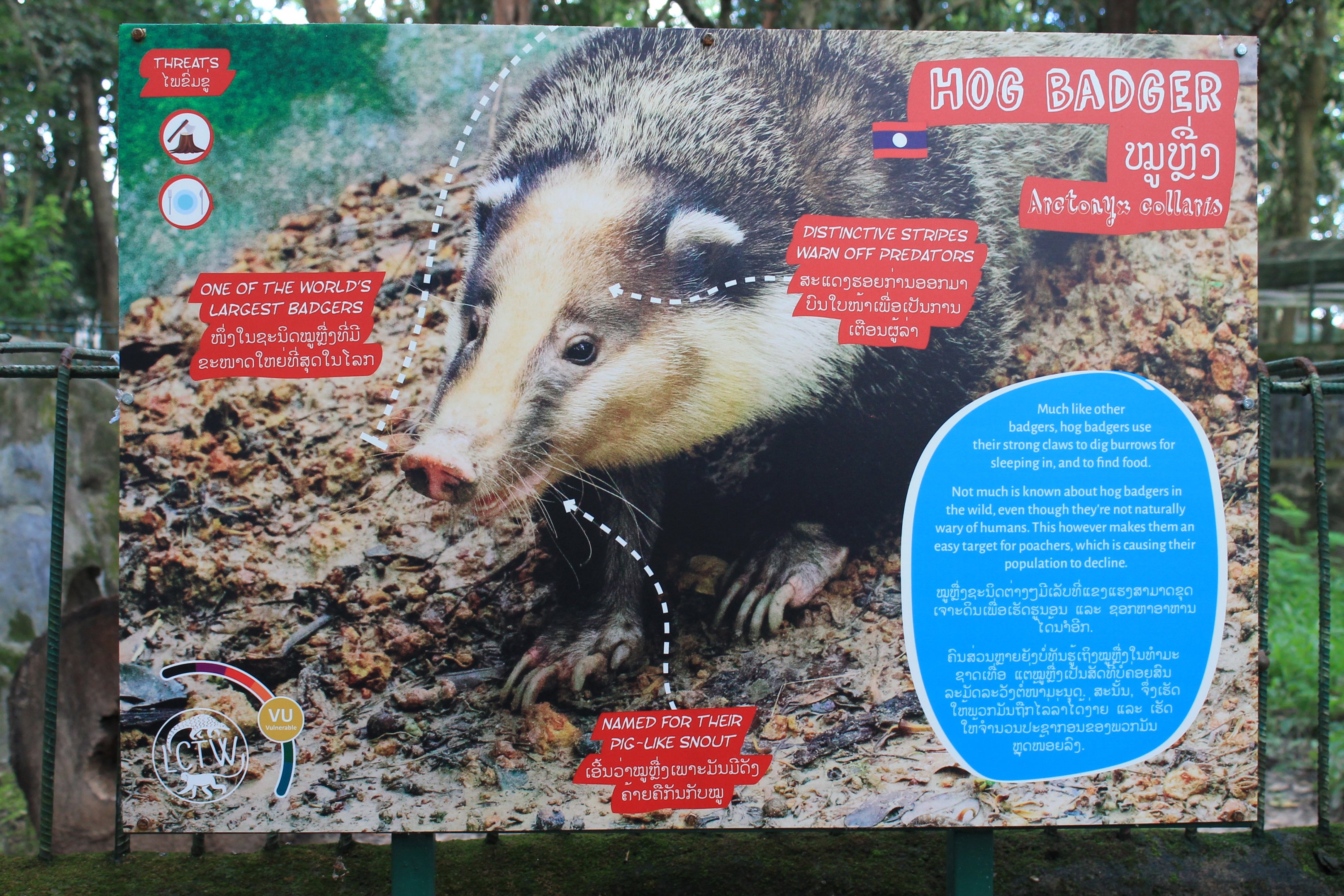 signage for Hog Badger