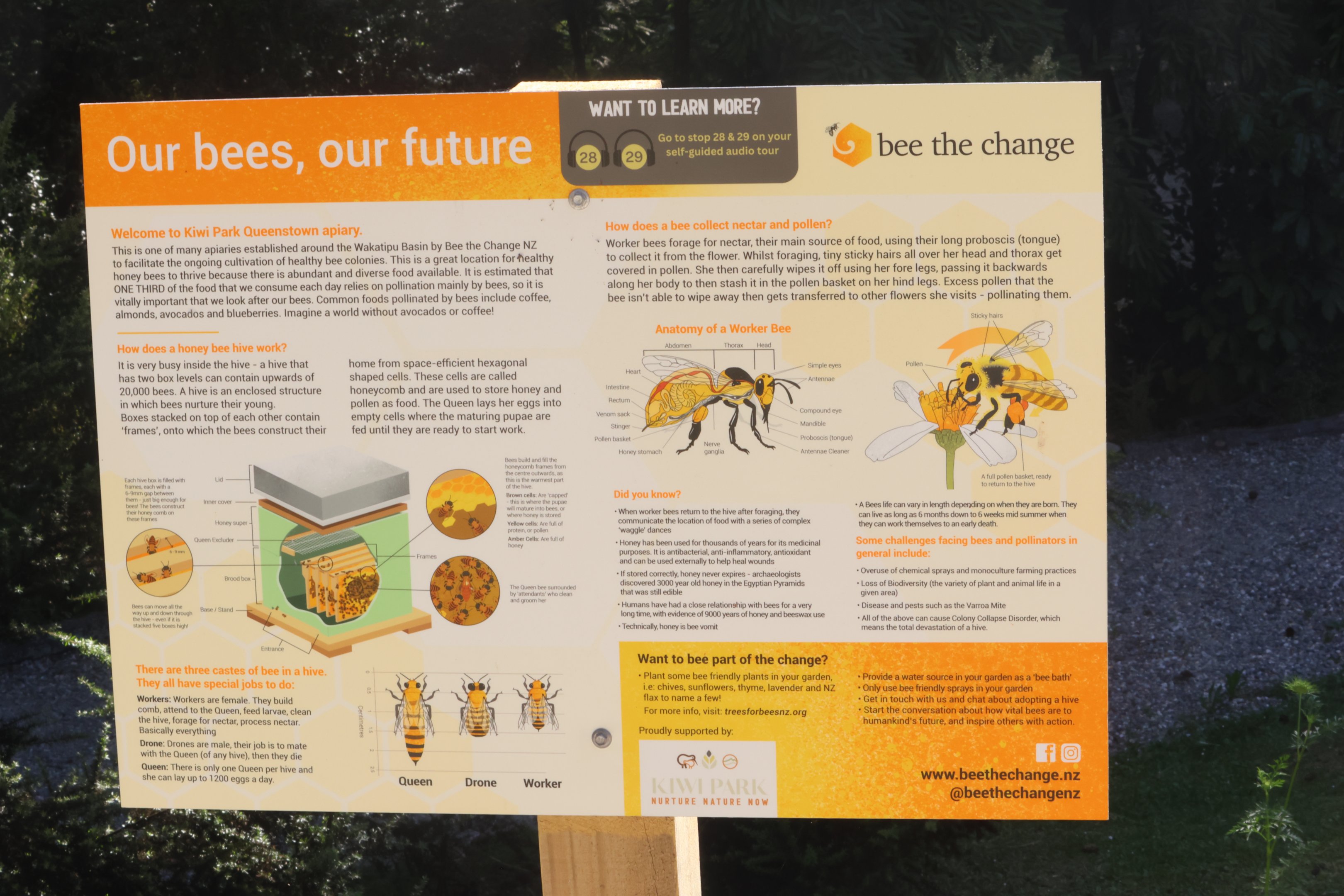 Signage for Honey Bee