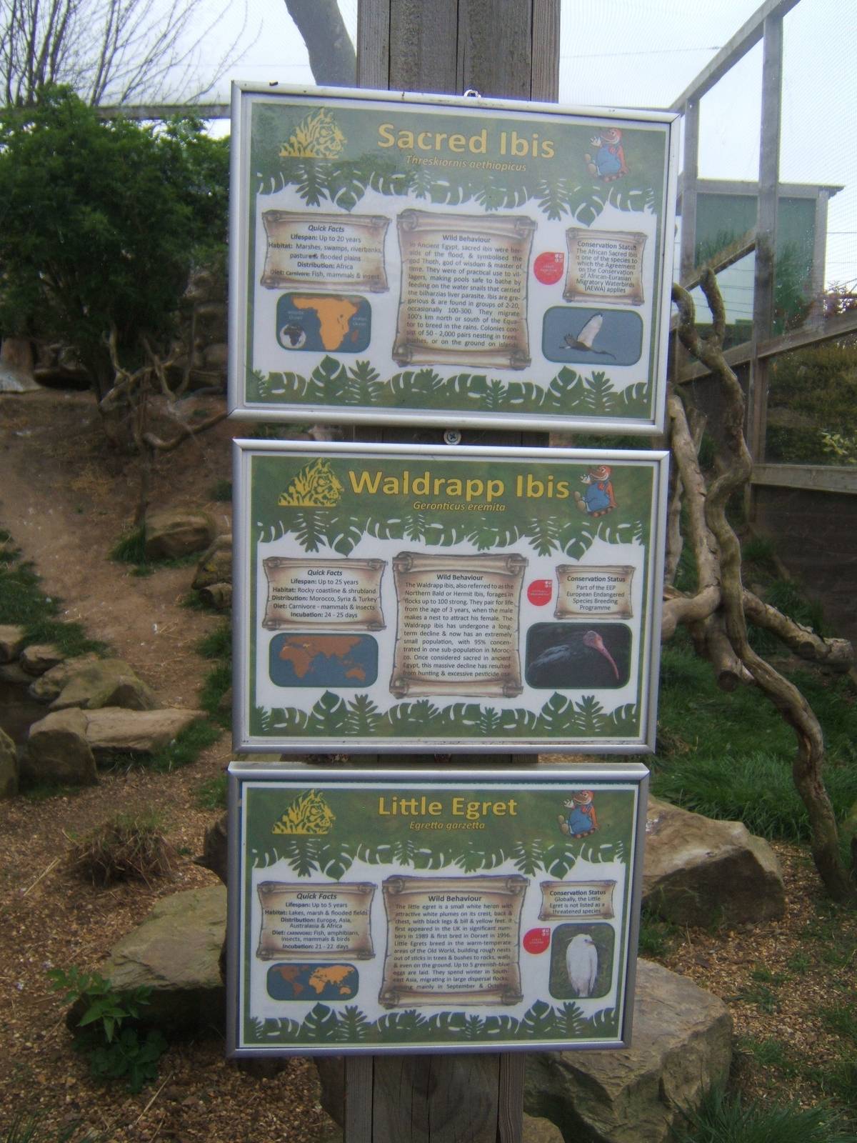 Signage for Ibis Aviary