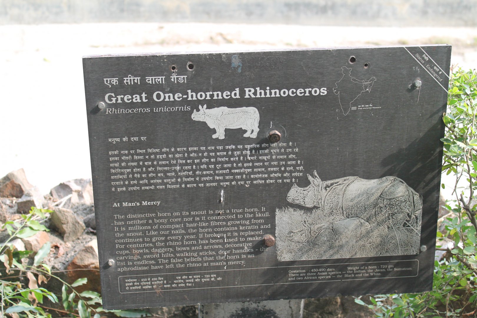 signage for Indian Rhinoceros