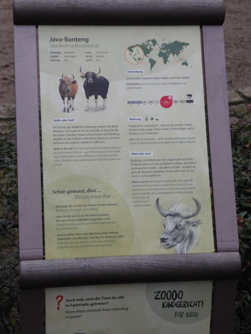 Signage for Javan banteng 290118