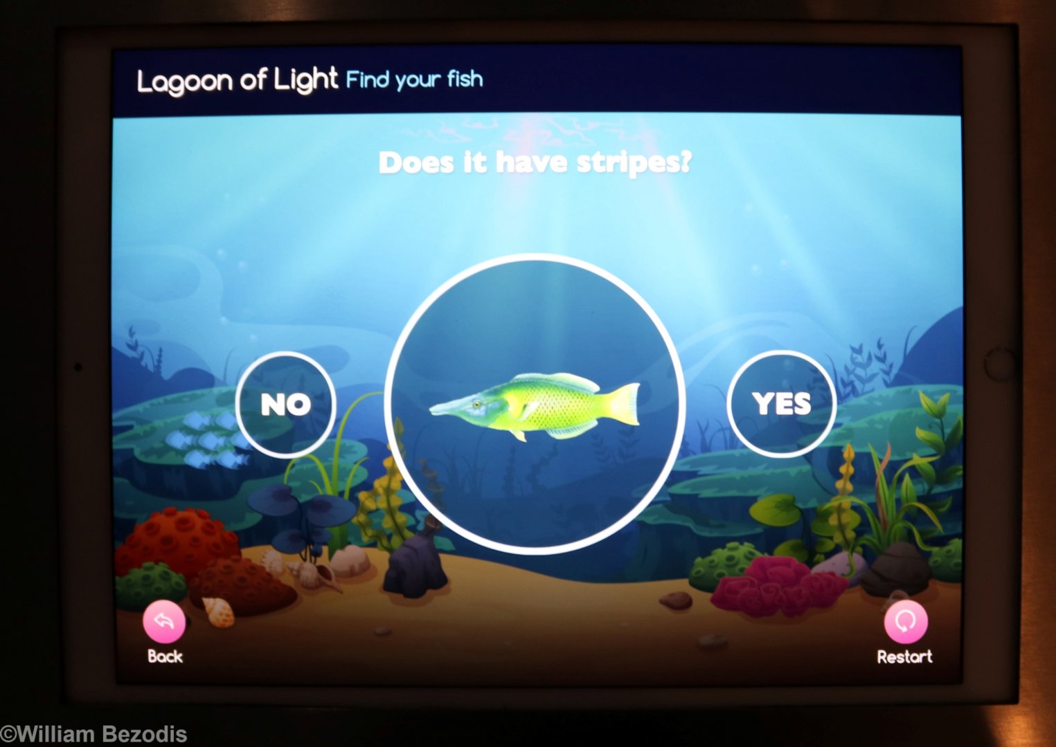 Signage for Large Mixed Aquarium - Interactive ID Key