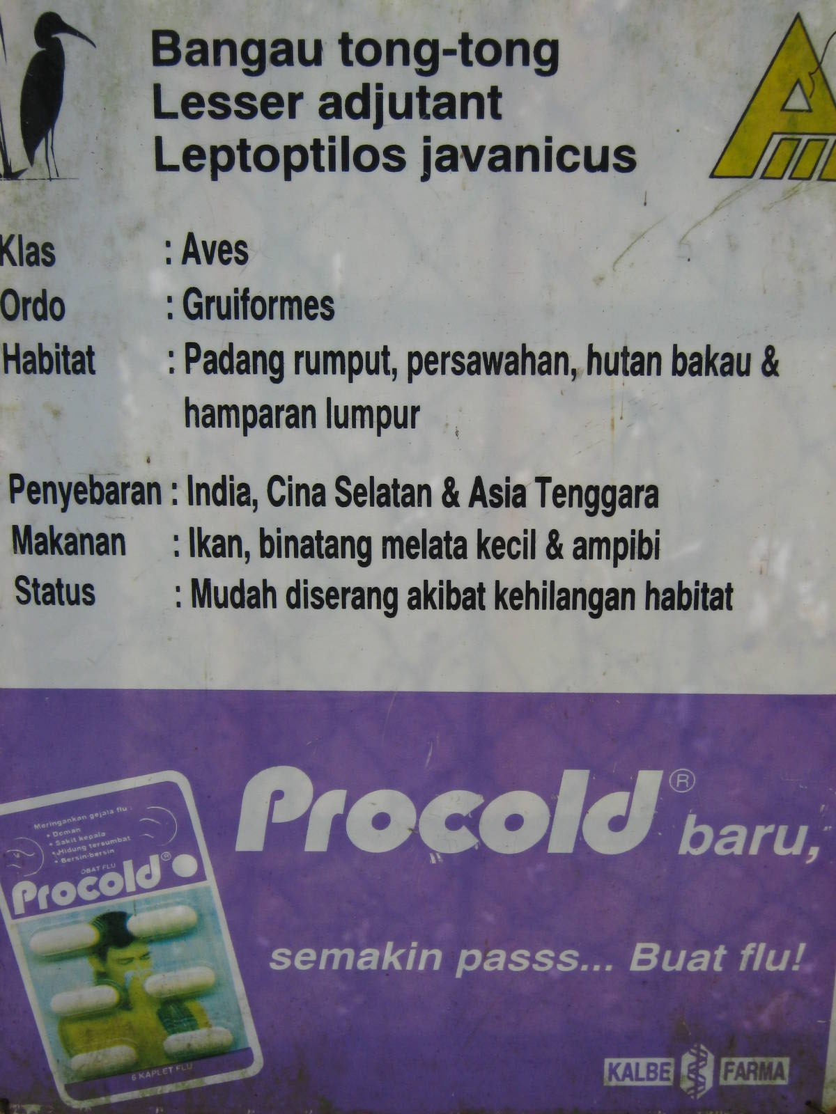 signage for lesser adjutant (Leptoptilos javanicus)