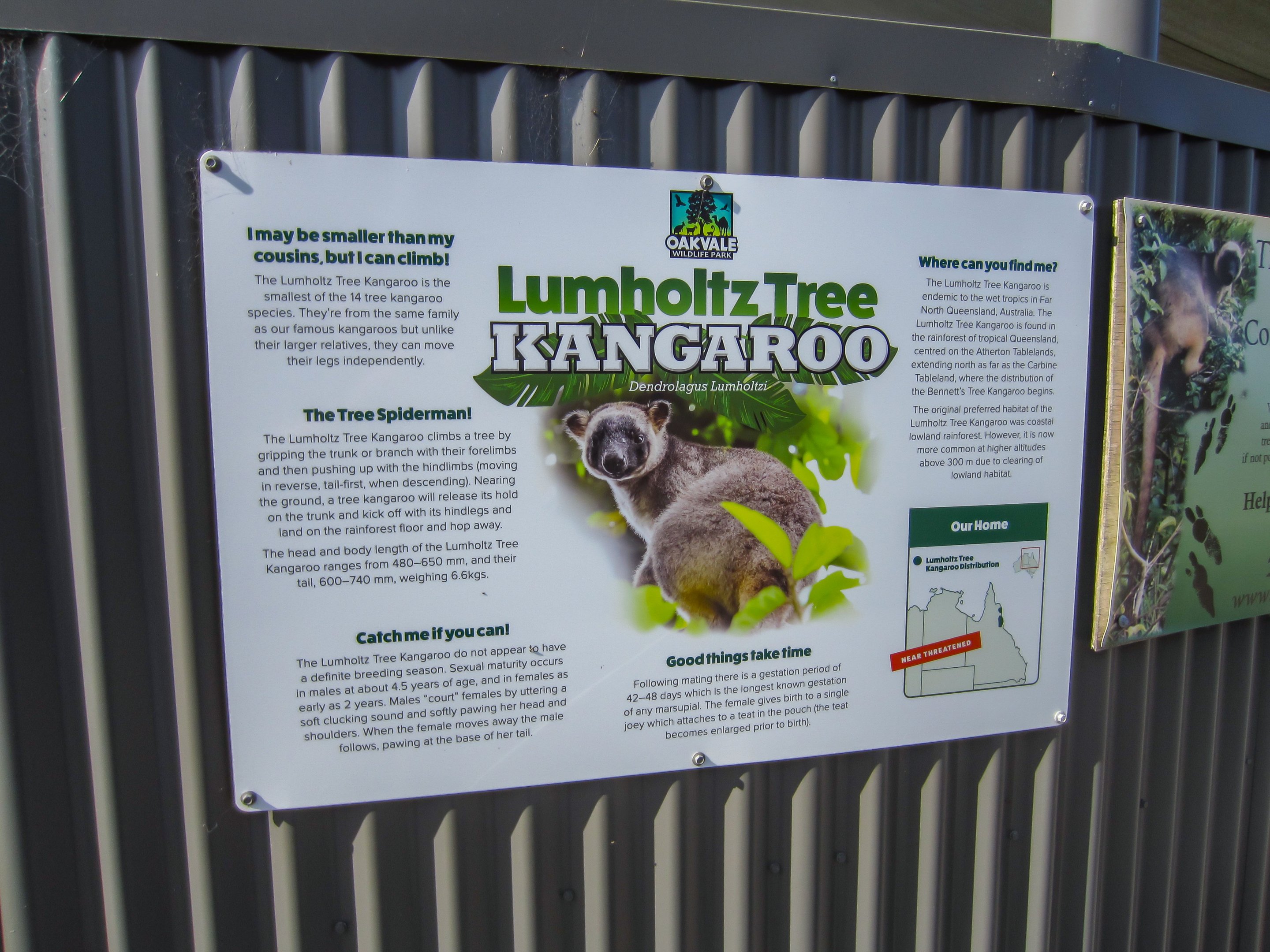 Signage for Lumholtz Tree Kangaroo