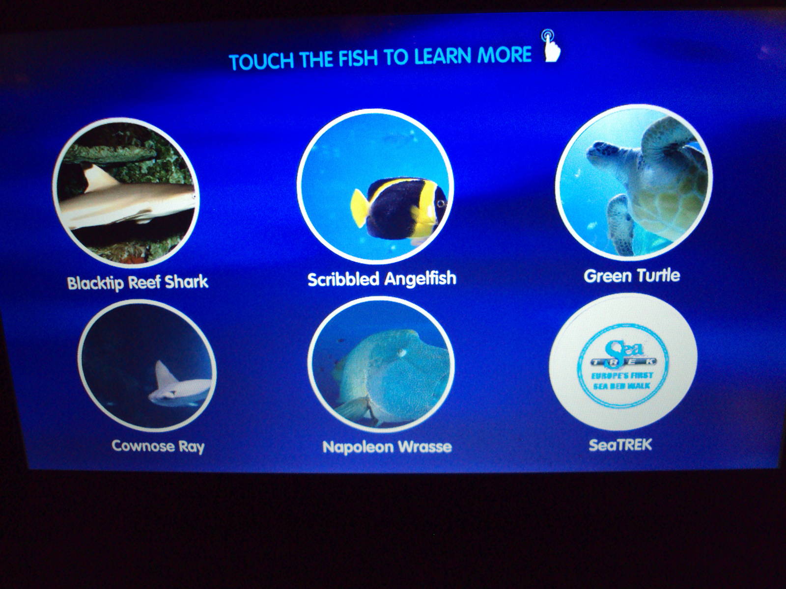 Signage for main tank