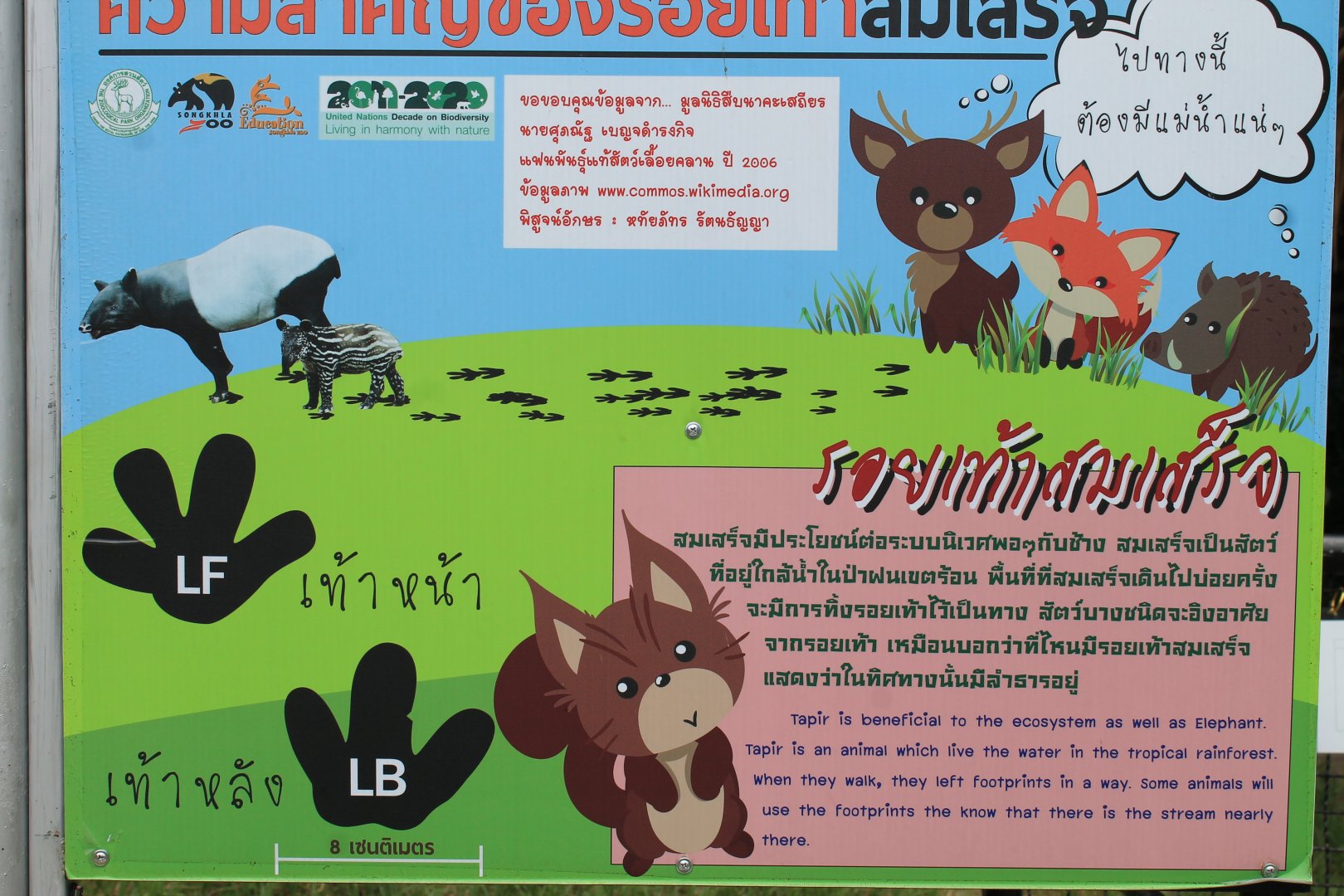 signage for Malayan Tapirs (Tapirus indicus)