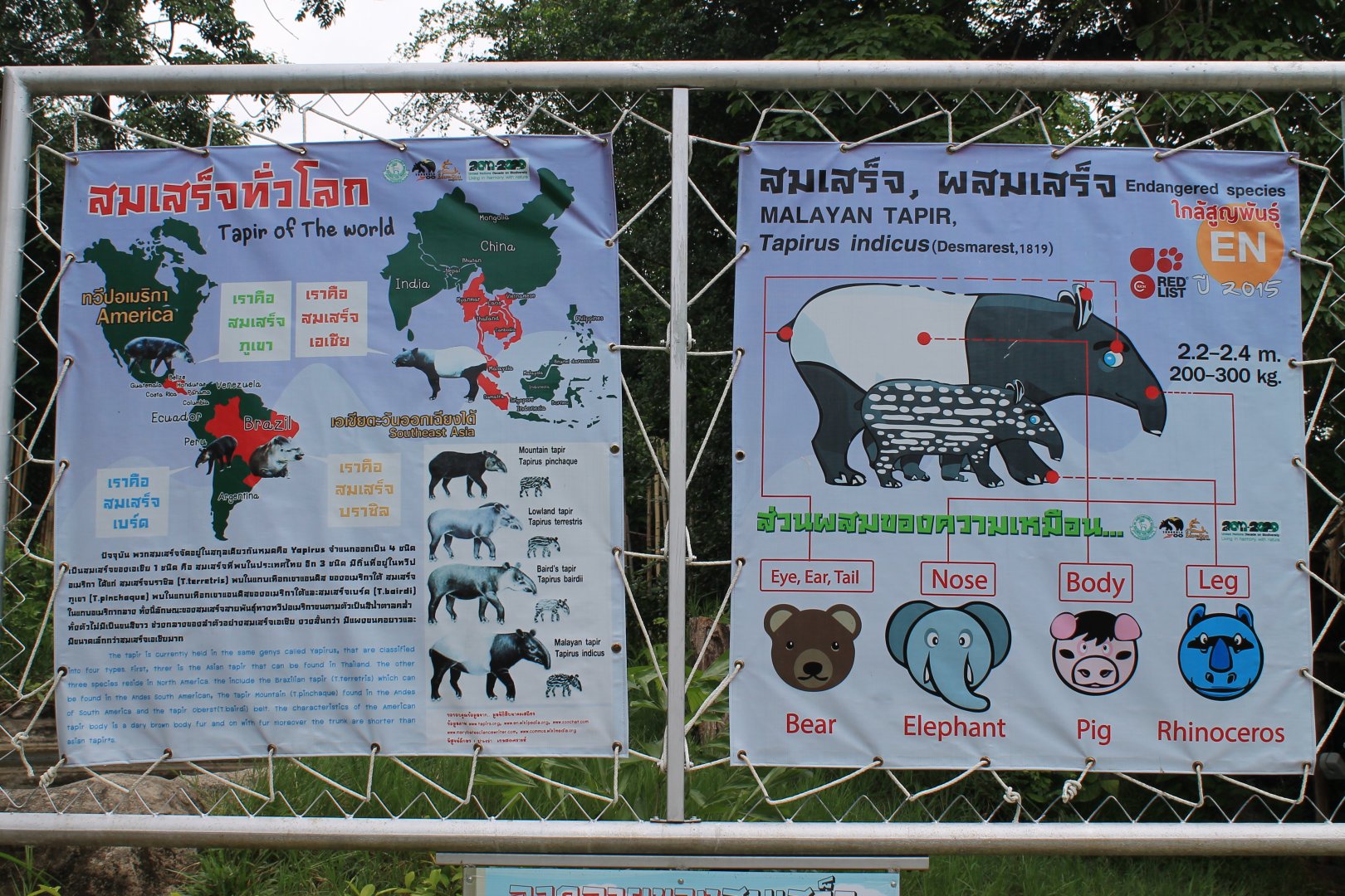 signage for Malayan Tapirs (Tapirus indicus)