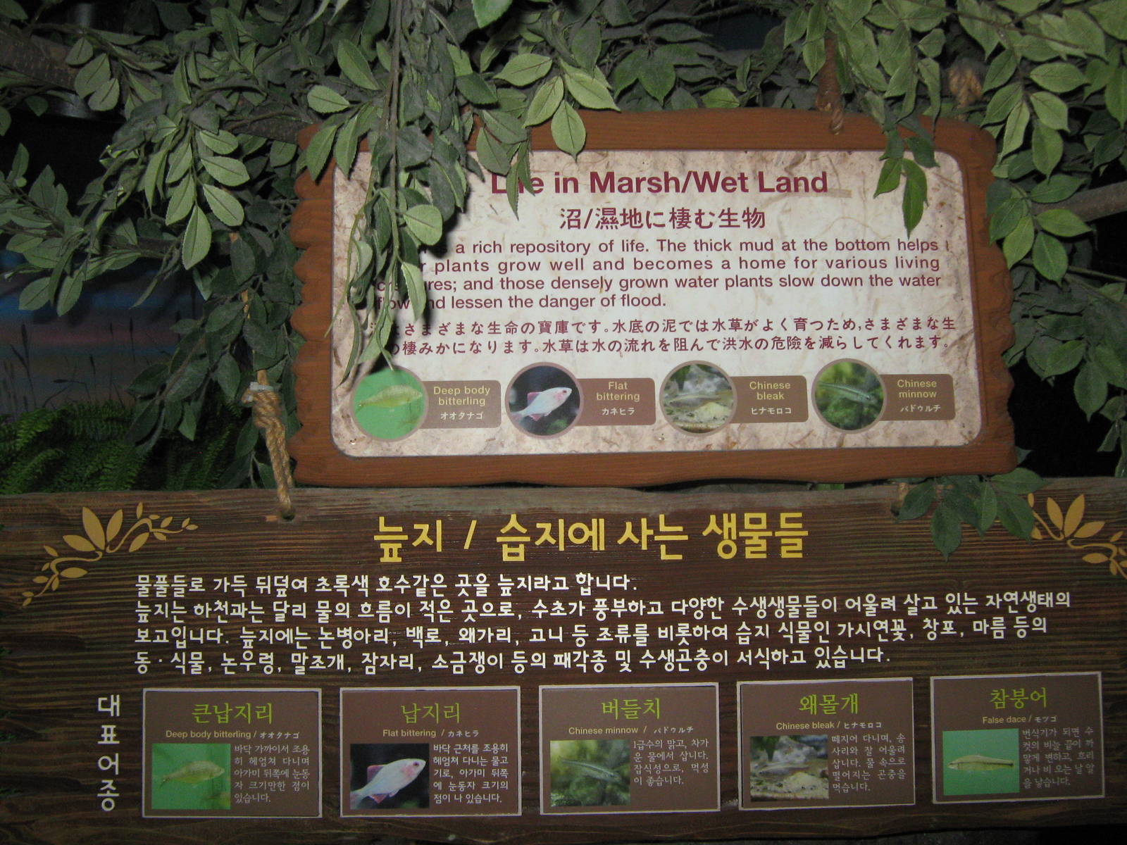 signage for marshland tank