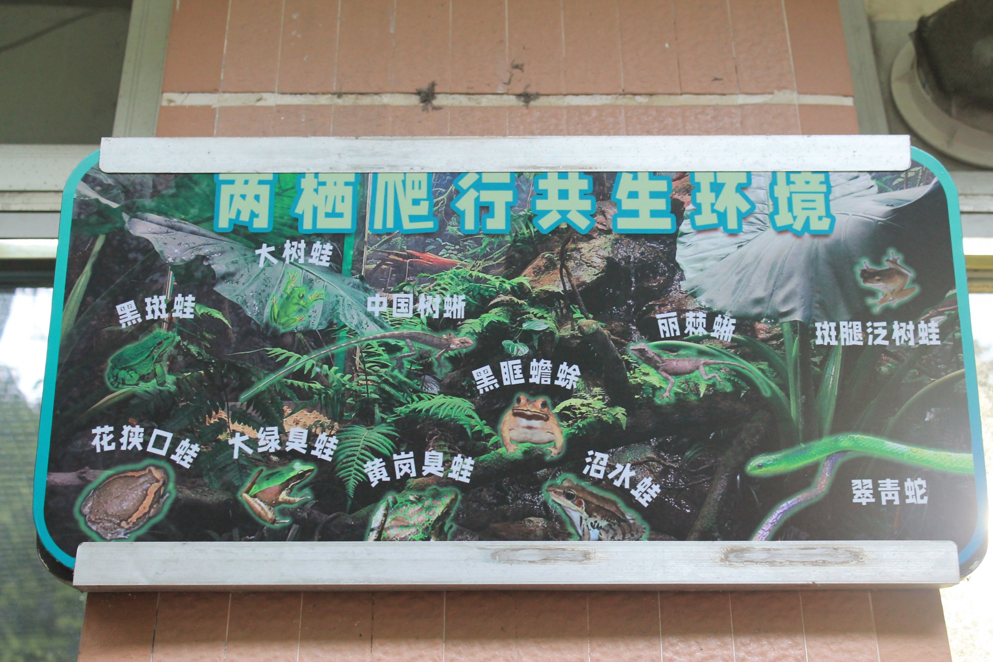 Signage for mixed herptile tank