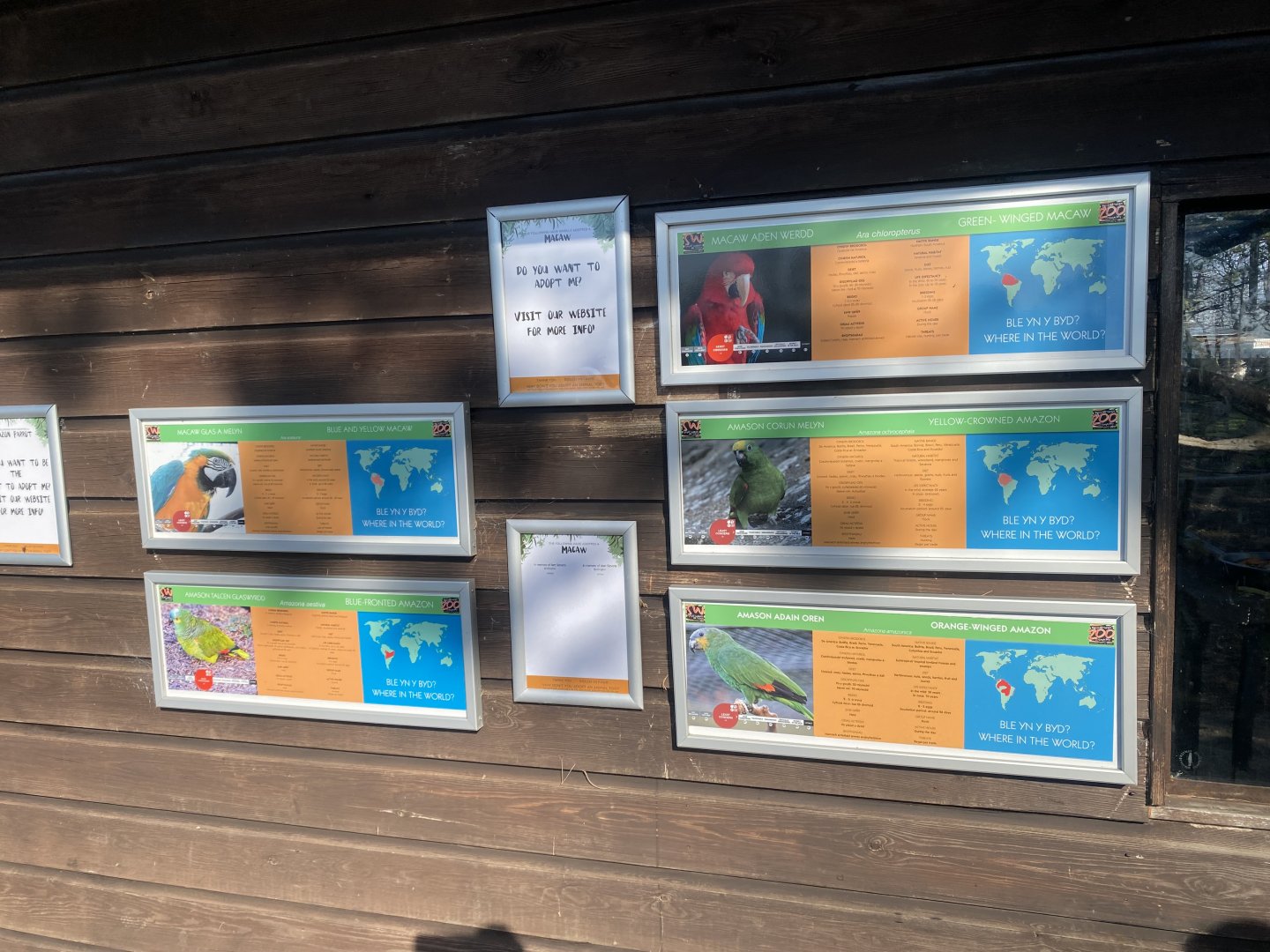 Signage for mixed parrot aviary 190325