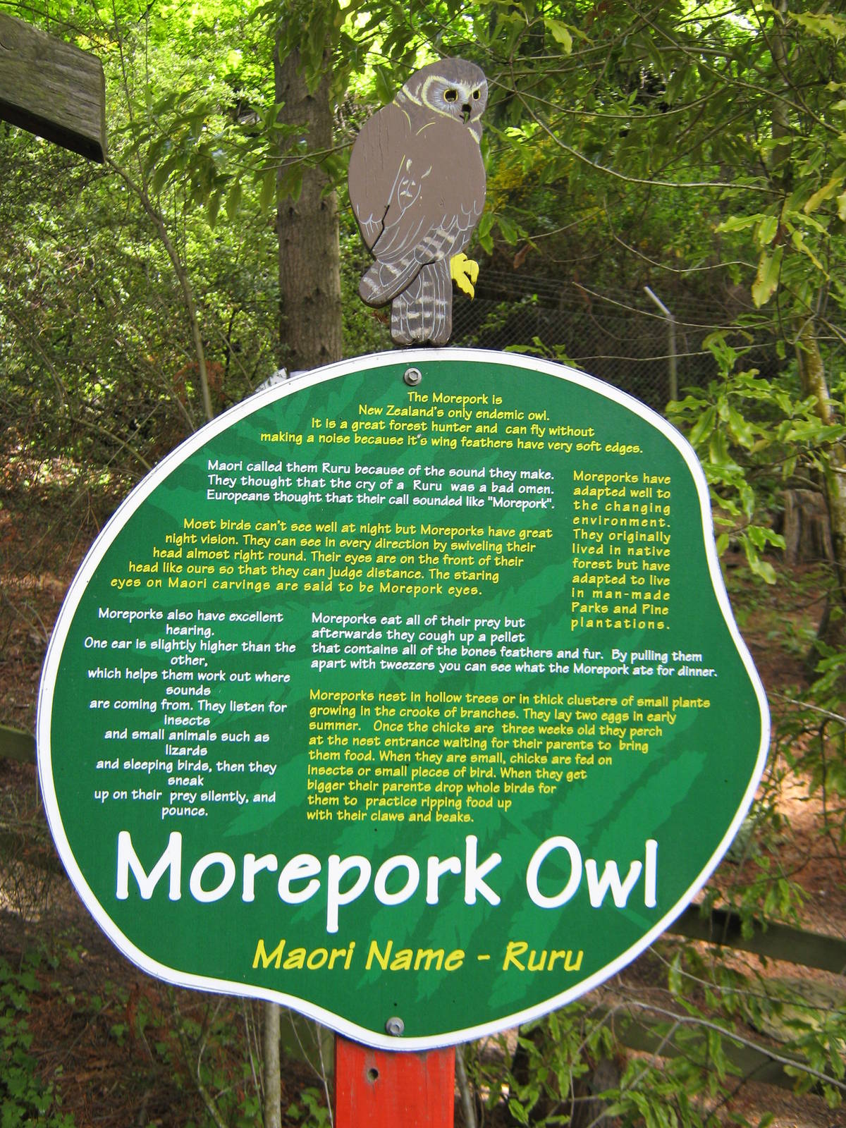 signage for morepork (Ninox novaeseelandiae)