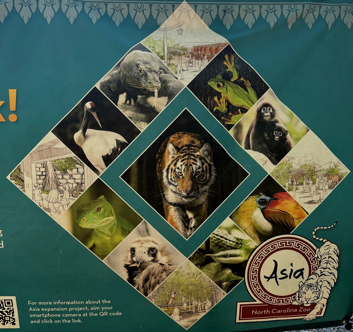 Signage for new Asia expansion (species in description/comments)